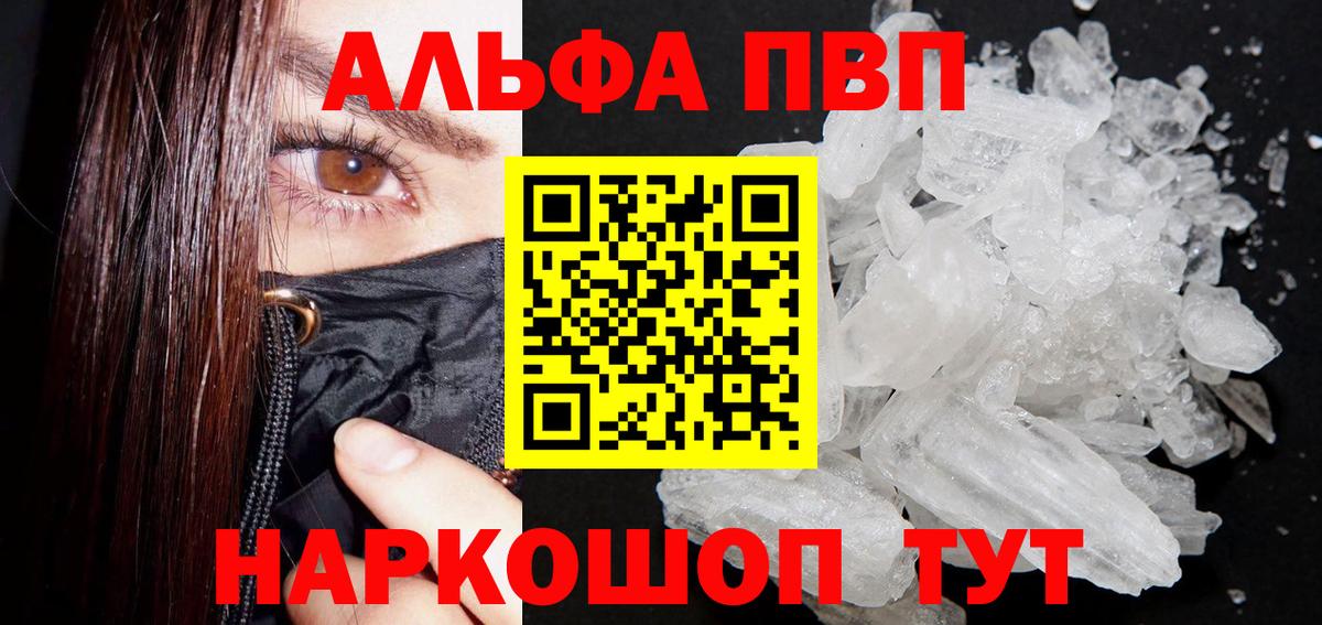 A PVP СК Владимир