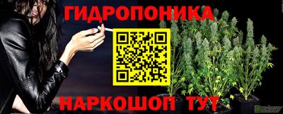 стафф Владикавказ