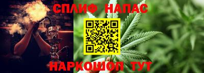 стафф Владикавказ