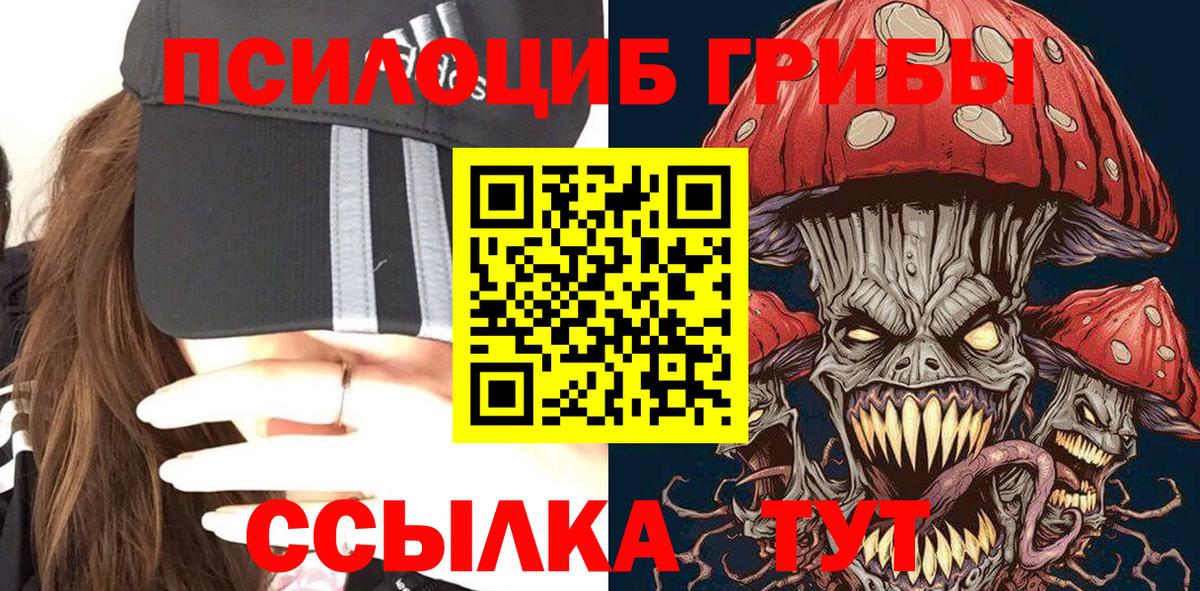 Псилоцибиновые грибы Cubensis Владимир