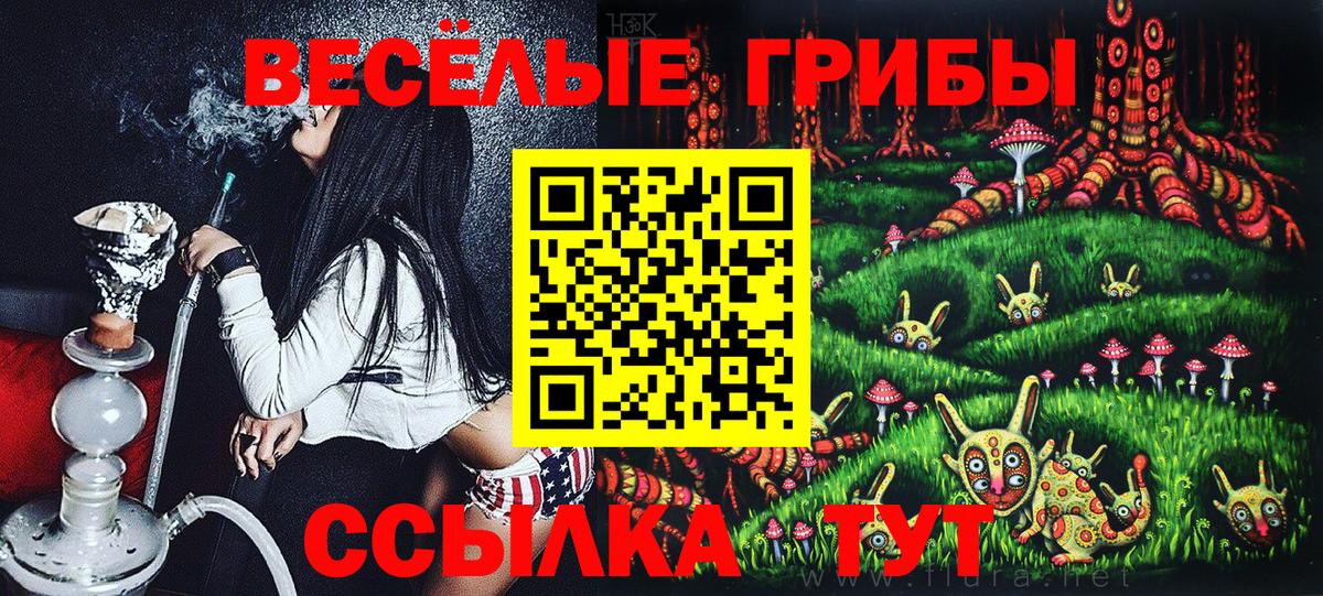 Владимир  Галлюциногенные грибы MAGIC MUSHROOMS  Галлюциногенные грибы мухоморы  Вход с VPN 